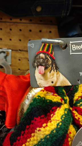 Pet Supply Store «Petco», reviews and photos, 49 W Rand Rd, Arlington Heights, IL 60004, USA