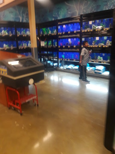 Pet Supply Store «PetSmart», reviews and photos, 2760 W 120th St, Hawthorne, CA 90250, USA