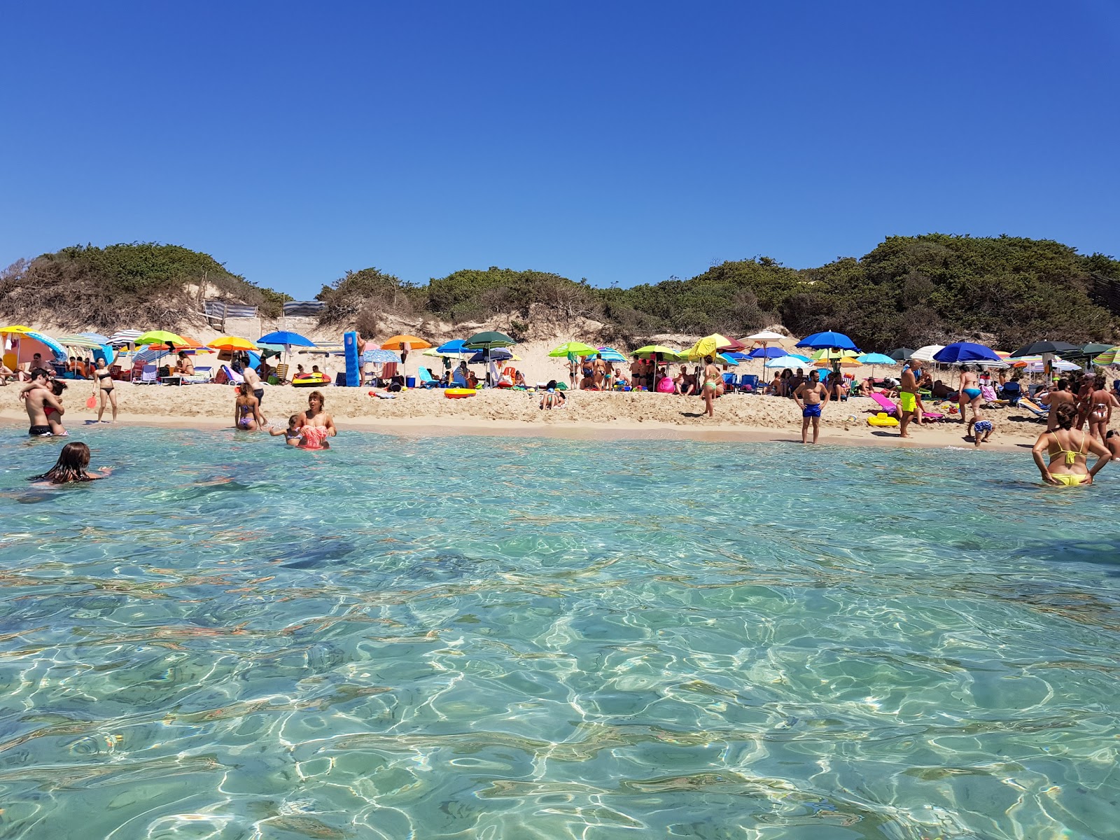 Spiaggia di Punta Prosciutto'in fotoğrafı plaj tatil beldesi alanı