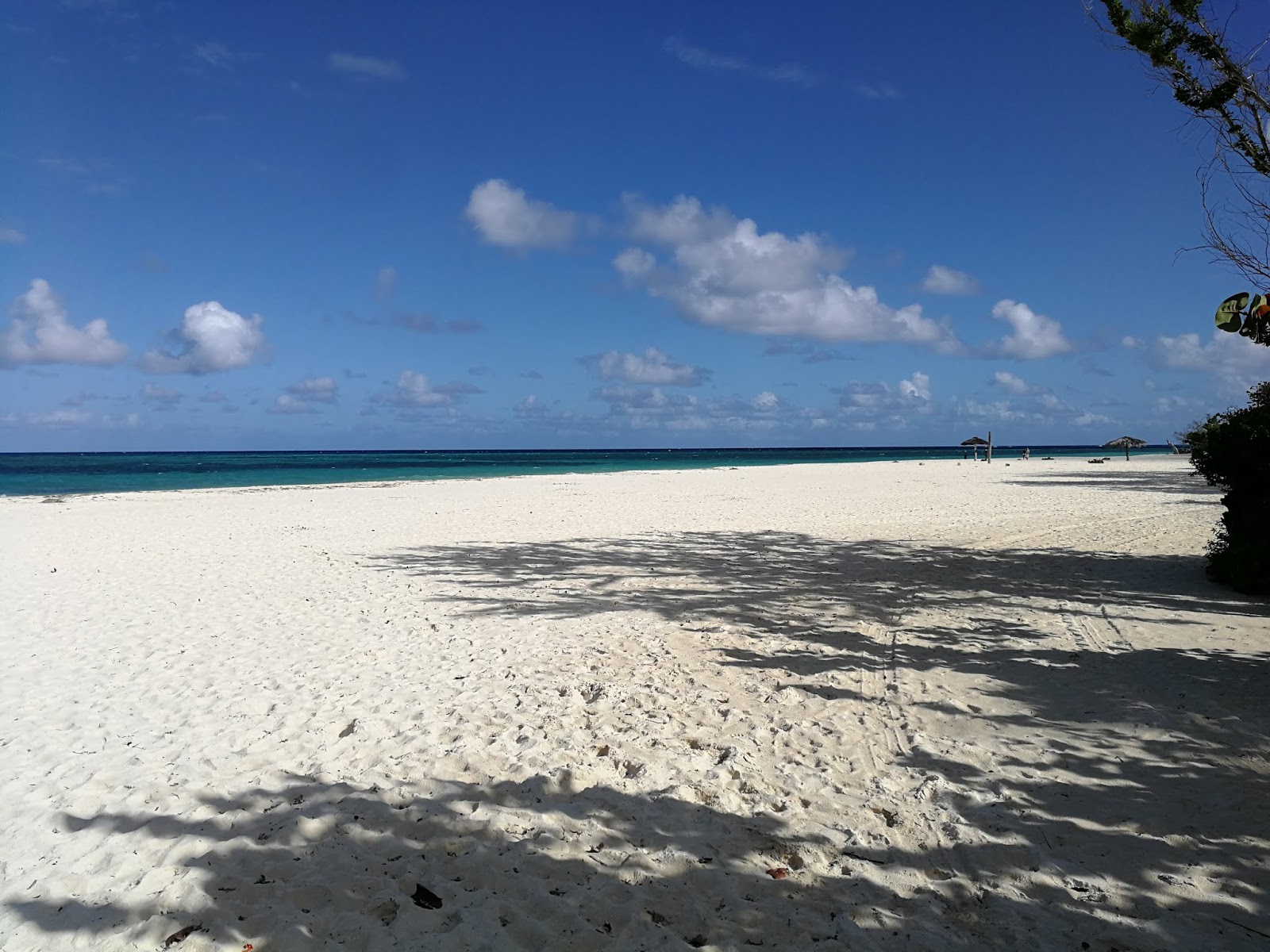 Foto di Playa Bani con spiaggia spaziosa