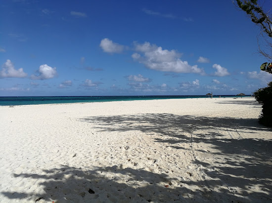 Playa Bani