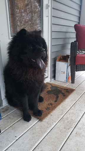 Pet Supply Store «PetSmart», reviews and photos, 9342 WI-16, Onalaska, WI 54650, USA