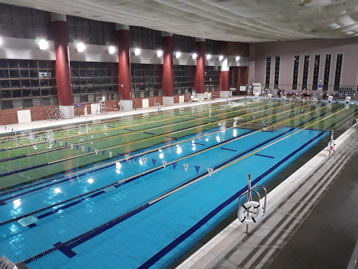Normal University Campus Pool