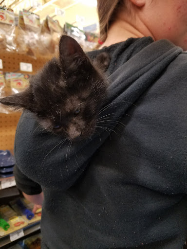 Pet Supply Store «Petco Animal Supplies», reviews and photos, 891 NE D St, Grants Pass, OR 97526, USA