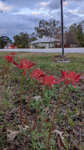 Jewelry Buyer «Mckinney Jewelry & Loan», reviews and photos, 800 S McDonald St, McKinney, TX 75069, USA