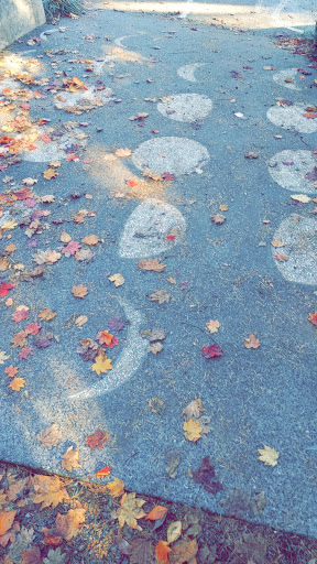 Park «Fremont Peak Park», reviews and photos, 4357 Palatine Ave N, Seattle, WA 98103, USA