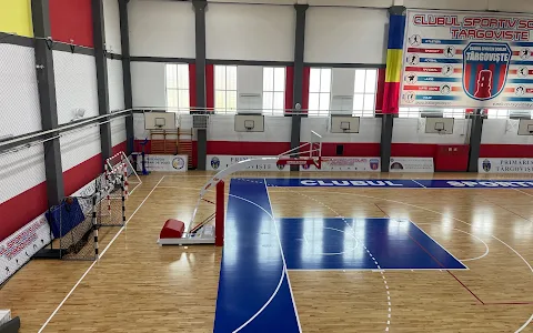Clubul Sportiv Şcolar Târgovişte image