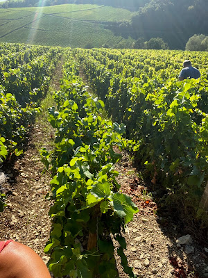 CHAMPAGNE MEHLINGER ET FILS à Lignol-le-Château