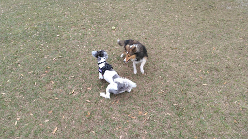 Park «Creekwood Park», reviews and photos, 7025 44th Ave E, Bradenton, FL 34205, USA