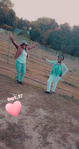 Winery «Cape Cod Winery», reviews and photos, 4 Oxbow Rd, East Falmouth, MA 02536, USA