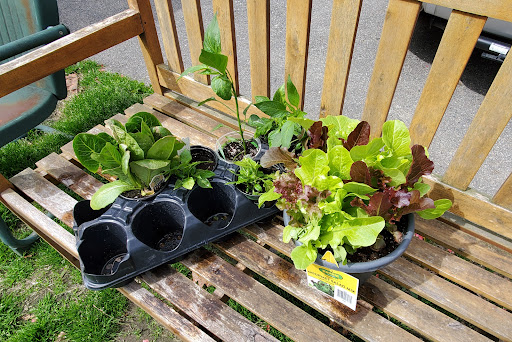 Home Improvement Store «The Home Depot», reviews and photos, 240 Lafayette Rd, Seabrook, NH 03874, USA