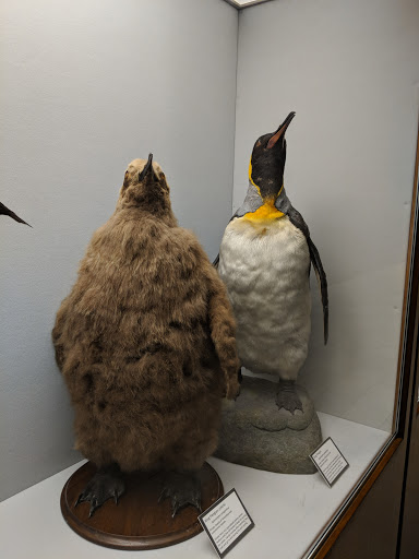 Performing Arts Theater «Carnegie Music Hall», reviews and photos, 4400 Forbes Ave, Pittsburgh, PA 15213, USA