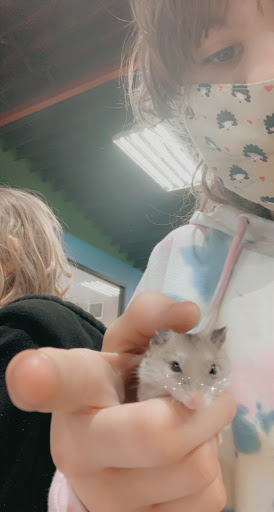 Pet Store «Pets Plus - Lansdale», reviews and photos, 555 S Broad St, Lansdale, PA 19446, USA