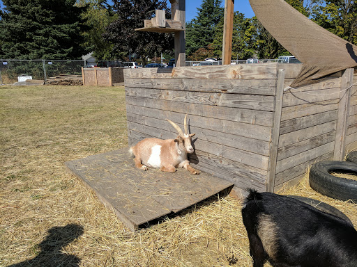 Farm «The Belmont Goats», reviews and photos, 9330 SE Harold St, Portland, OR 97266, USA
