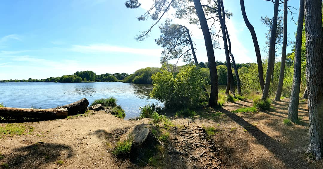 Photo n° 5 de l'avis de Kapoow.K fait le 15/05/2019 à 05:55