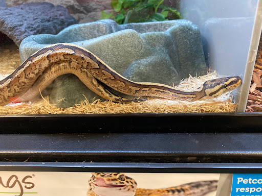 Pet Supply Store «Petco Animal Supplies», reviews and photos, 50 Ernest W Barrett Pkwy NW #500, Marietta, GA 30066, USA