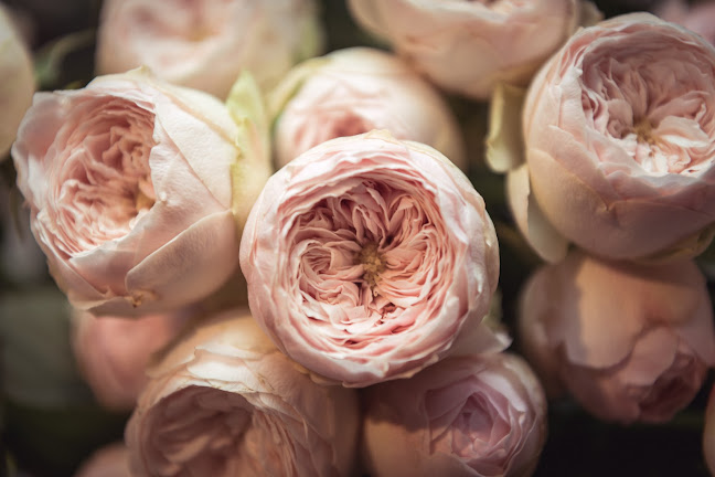 Rezensionen über Blütentanz Küttigen - Lea-Katja Frey in Aarau - Blumengeschäft