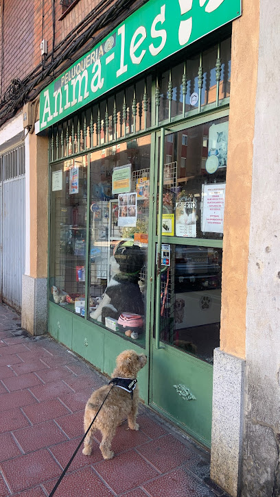 Tienda Anima-les - Servicios para mascota en Valladolid