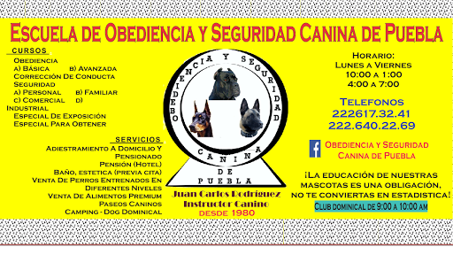 Escuela de obediencia y seguridad canina de Puebla