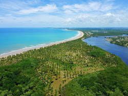 Zdjęcie Praia do Paiva dziki obszar