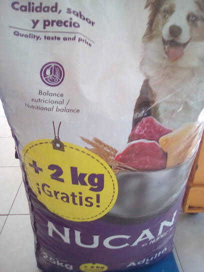 Alimentos para mascotas pacheco