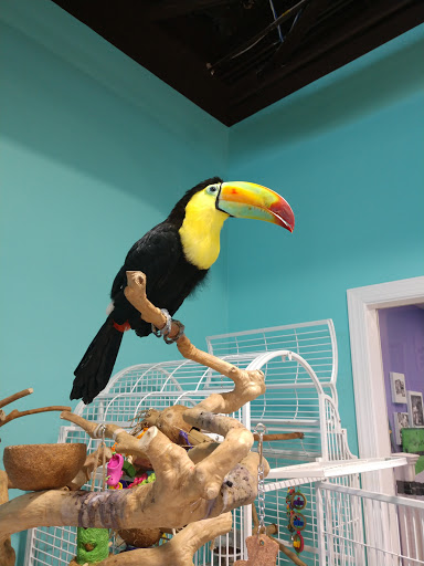 Discount Store «Dollar General», reviews and photos, 10720 Park Blvd N, Seminole, FL 33772, USA