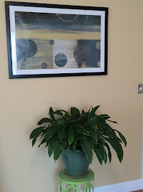 Healing Tree Health and Wellness - Photo 5 - Car repair in , Springfield