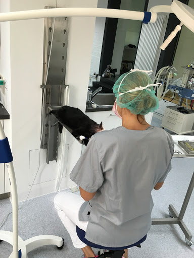 Competence Center Small Animal Medicine Dr. Valeska Furck unter Hamburg, 