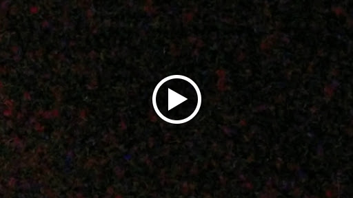 Live Music Venue «House of Blues Dallas», reviews and photos, 2200 N Lamar St, Dallas, TX 75202, USA