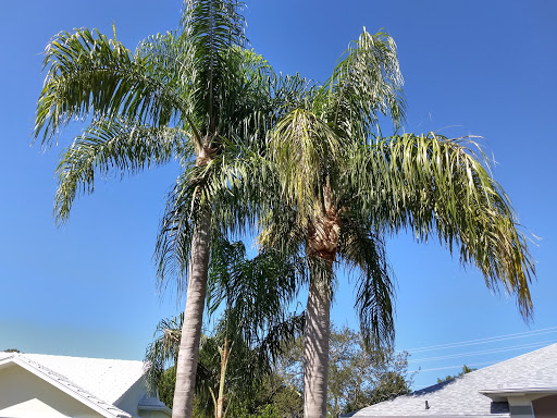 Golf Club «Links Golf Club», reviews and photos, 8706 Pavilion Dr, Hudson, FL 34667, USA