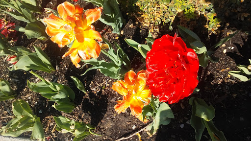 American Restaurant «Cracker Barrel Old Country Store», reviews and photos, 2001 Formosa Rd, Troy, IL 62294, USA