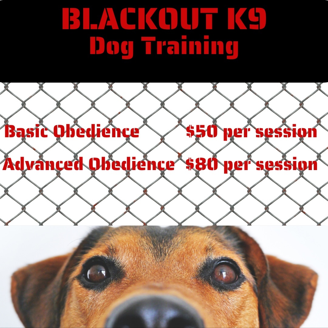 Blackout K-9 Dog Training