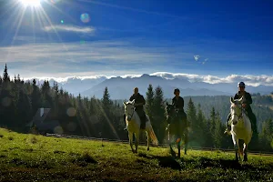 Mountain Equestrian Center image