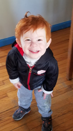 Computer Consultant «Computer Services of Michigan», reviews and photos, 3125 Rochester Rd, Royal Oak, MI 48073, USA