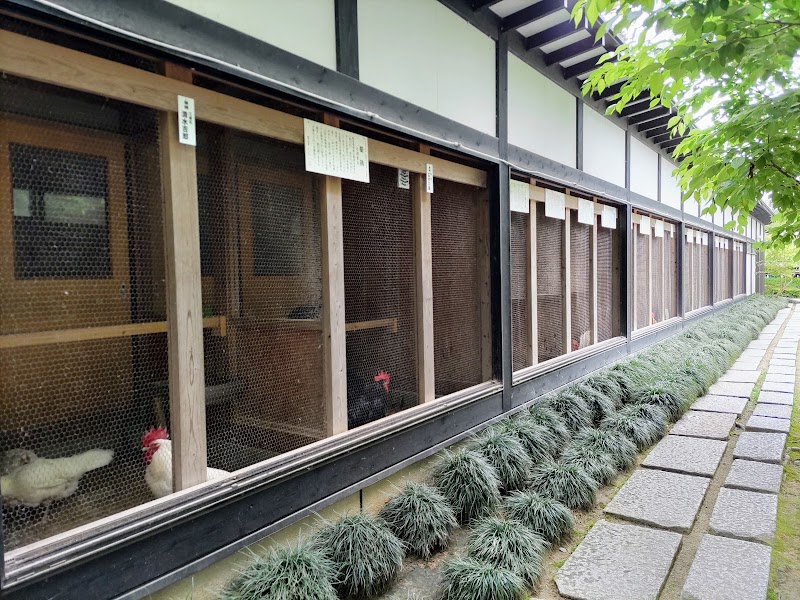 彌彦神社 日本鶏舎