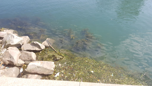 Science Museum «Great Lakes Science Center», reviews and photos, 601 Erieside Ave, Cleveland, OH 44114, USA