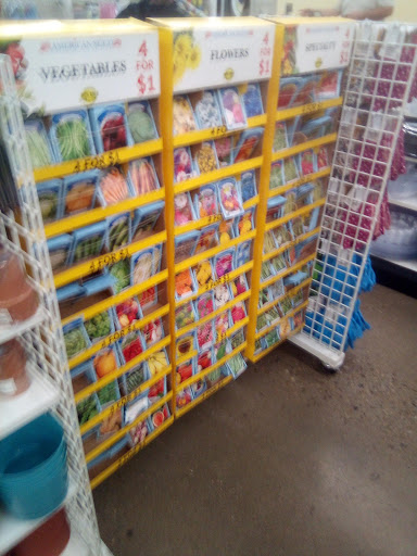 Dollar Store «Dollar Tree», reviews and photos, 10408 Trinity Pkwy a, Stockton, CA 95219, USA