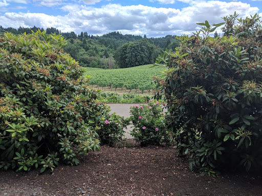 Winery «Elk Cove Vineyards», reviews and photos, 27751 NW Olson Rd, Gaston, OR 97119, USA