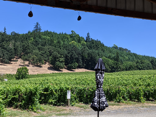 Winery «Ankeny Vineyards & Winery», reviews and photos, 2565 Riverside Dr S, Salem, OR 97306, USA