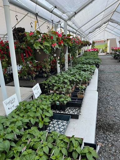 Florist «TG Designs», reviews and photos, 19231 Longmeadow Rd, Hagerstown, MD 21742, USA