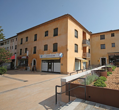 Dr vétérinaire CHARLES Vincent à Valbonne