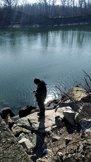 Bare Cove Park - photo 56