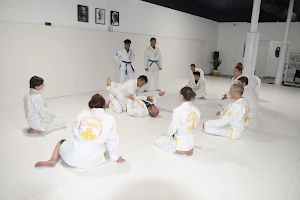 Olympus Jiu Jitsu Academy image