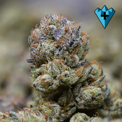 Cannabis store «Chronic Therapy», reviews and photos, 10030 W 27th Ave, Wheat Ridge, CO 80215, USA