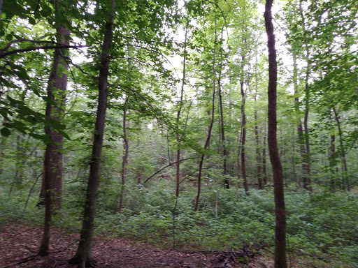 Dog Park «Perry Paw Dog Park», reviews and photos, 9033 Honeygo Blvd, Perry Hall, MD 21128, USA