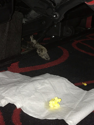 Movie Theater «AMC Southroads 20», reviews and photos, 4923 E 41st St, Tulsa, OK 74135, USA