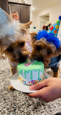 Barkalicious Biscuit Bar - Photo 6 - Car repair in Plano, TX, Plano