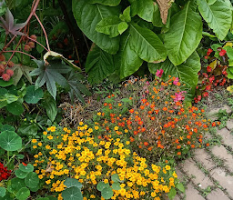 Botanical Garden photo