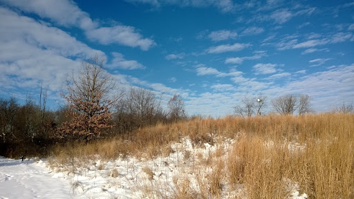 Rehabilitation Center «Willowbrook Wildlife Center», reviews and photos, 525 S Park Blvd, Glen Ellyn, IL 60137, USA