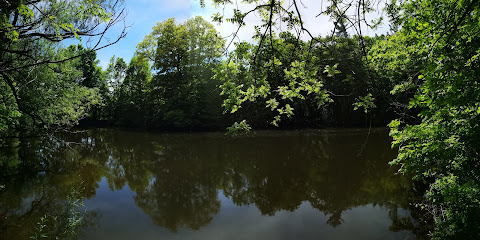 McCormack's Pond